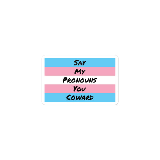 Say my Pronouns, Trans Pride sticker