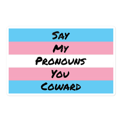 Say my Pronouns, Trans Pride sticker