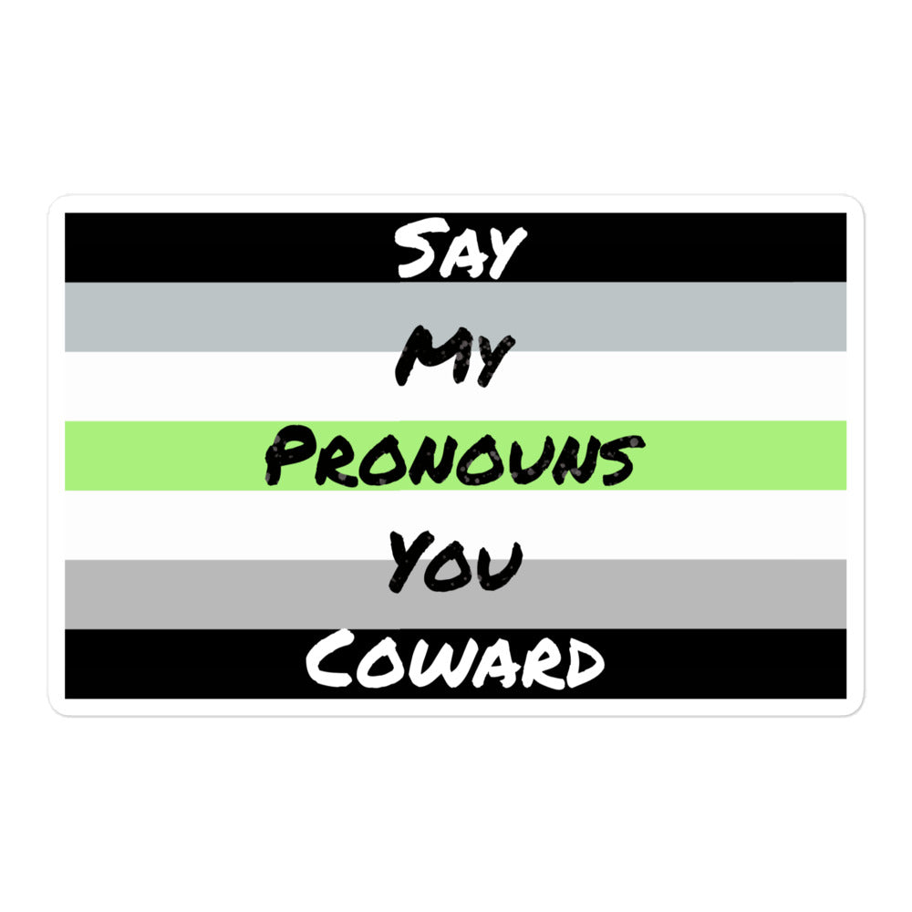 Say My Pronouns, Agender Pride sticker