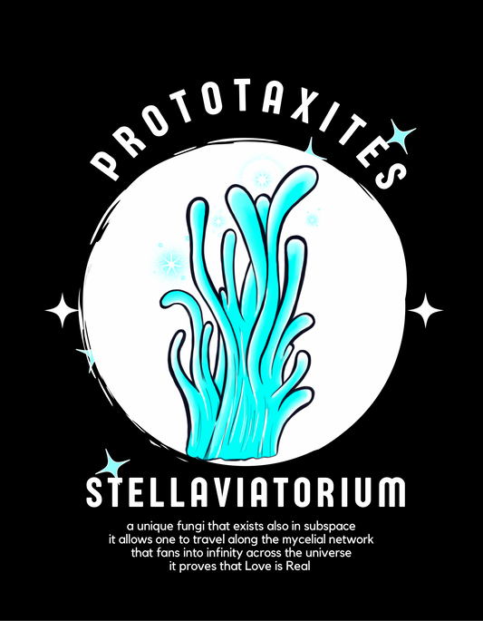 Prototaxites Stellaviatorium, Shirt