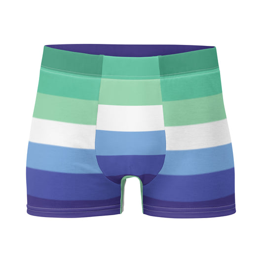 Gay Pride Boxer Briefs